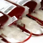 Blood