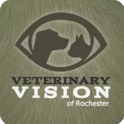 VV Logo